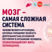 с  20  по 26 июля 2026 года  – Неделя сохранения здоровья головного мозга  (в честь Всемирного дня мозга 22 июля). 1