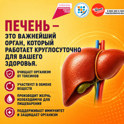 с 27 июля по 2 августа 2026 года – Неделя профилактики заболеваний печени (в честь Международного дня борьбы с гепатитом 28 июля). 1